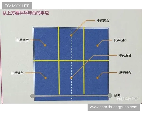 发球干扰规则怎么判？新手玩家如何正确执行？