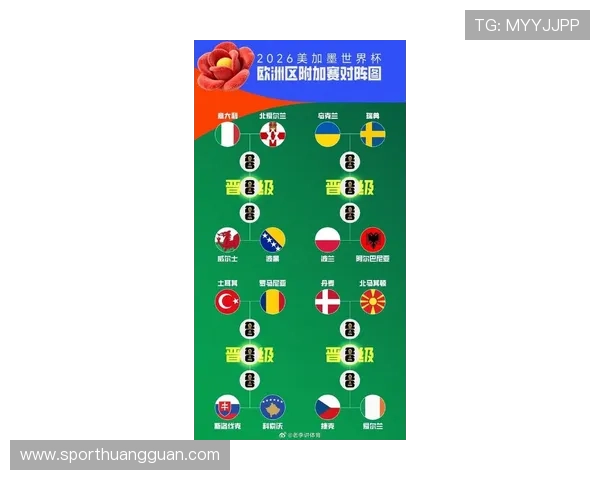 奥地利队冲击2026美加墨世界杯：晋级前景与阵容解析